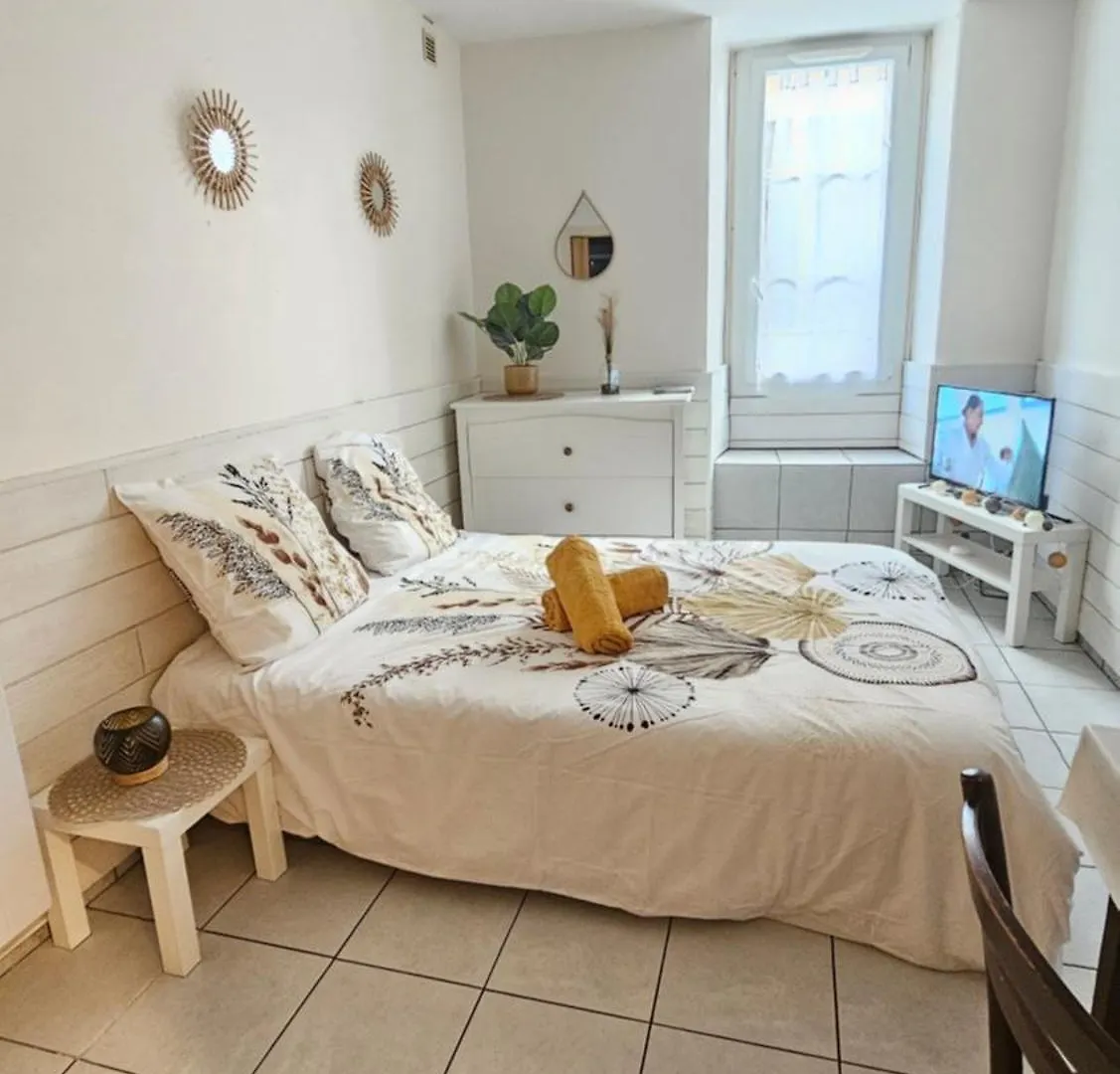 Apartamento Studio Meuble Au Pied Du Chateau Lourdes